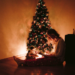 Choosing the Perfect Christmas Tree for a Time of Mourning